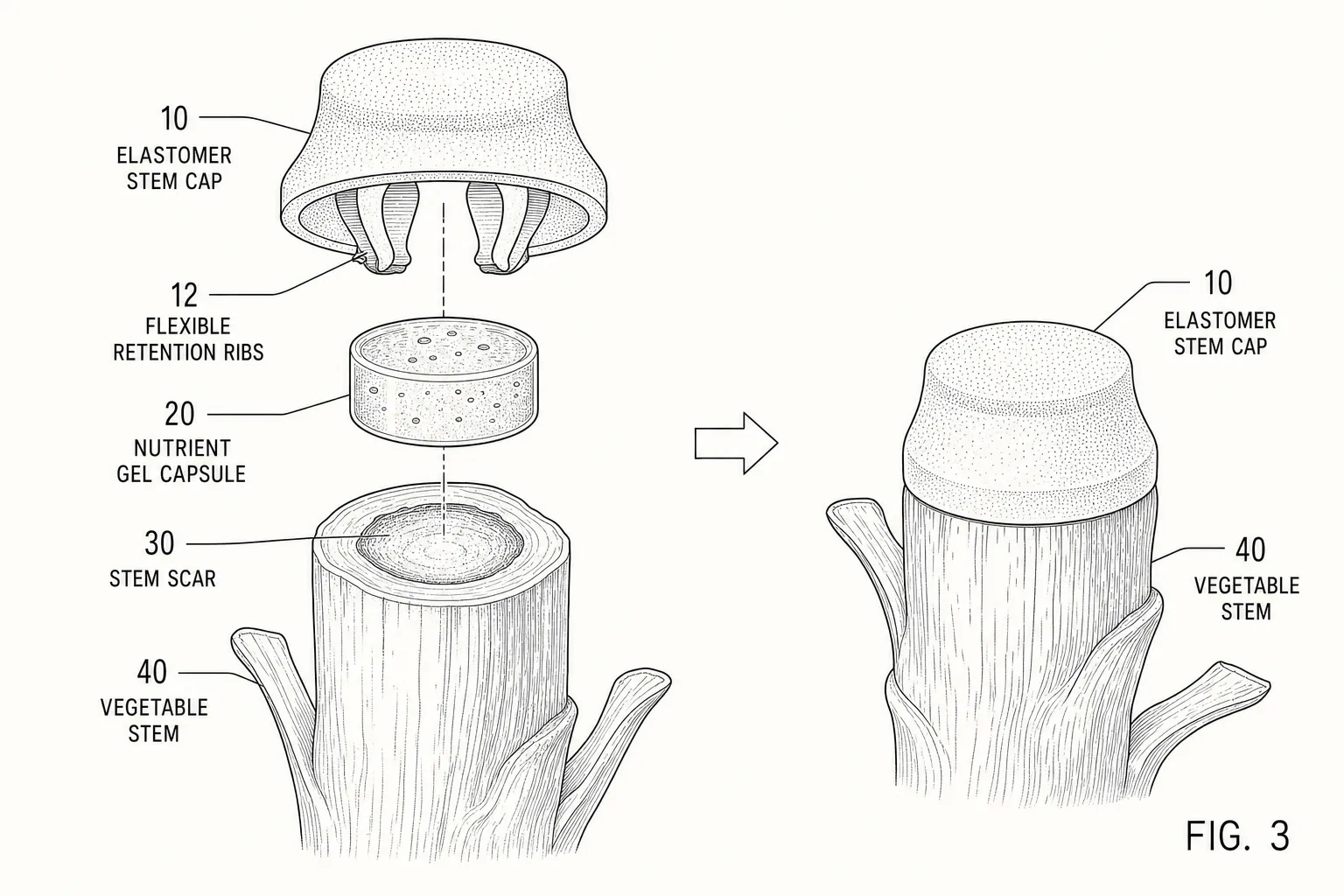 Technical patent figure drawing showing an exploded view of a low-cost elastomer stem cap and gel capsule for individual fruit.